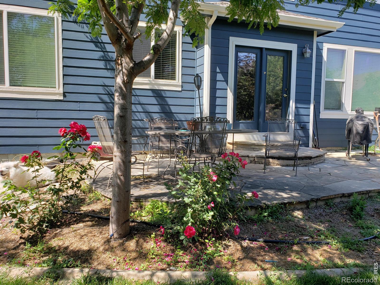 2121 Baldwin Street Fort Collins CO 80528