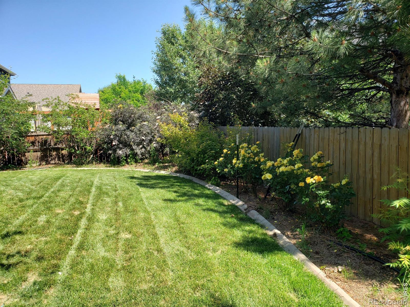 2121 Baldwin Street Fort Collins CO 80528