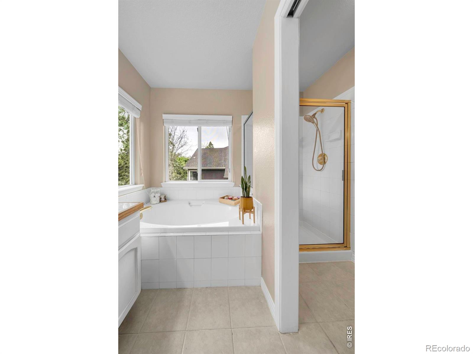 2233 Bluebird Drive Longmont CO 80504