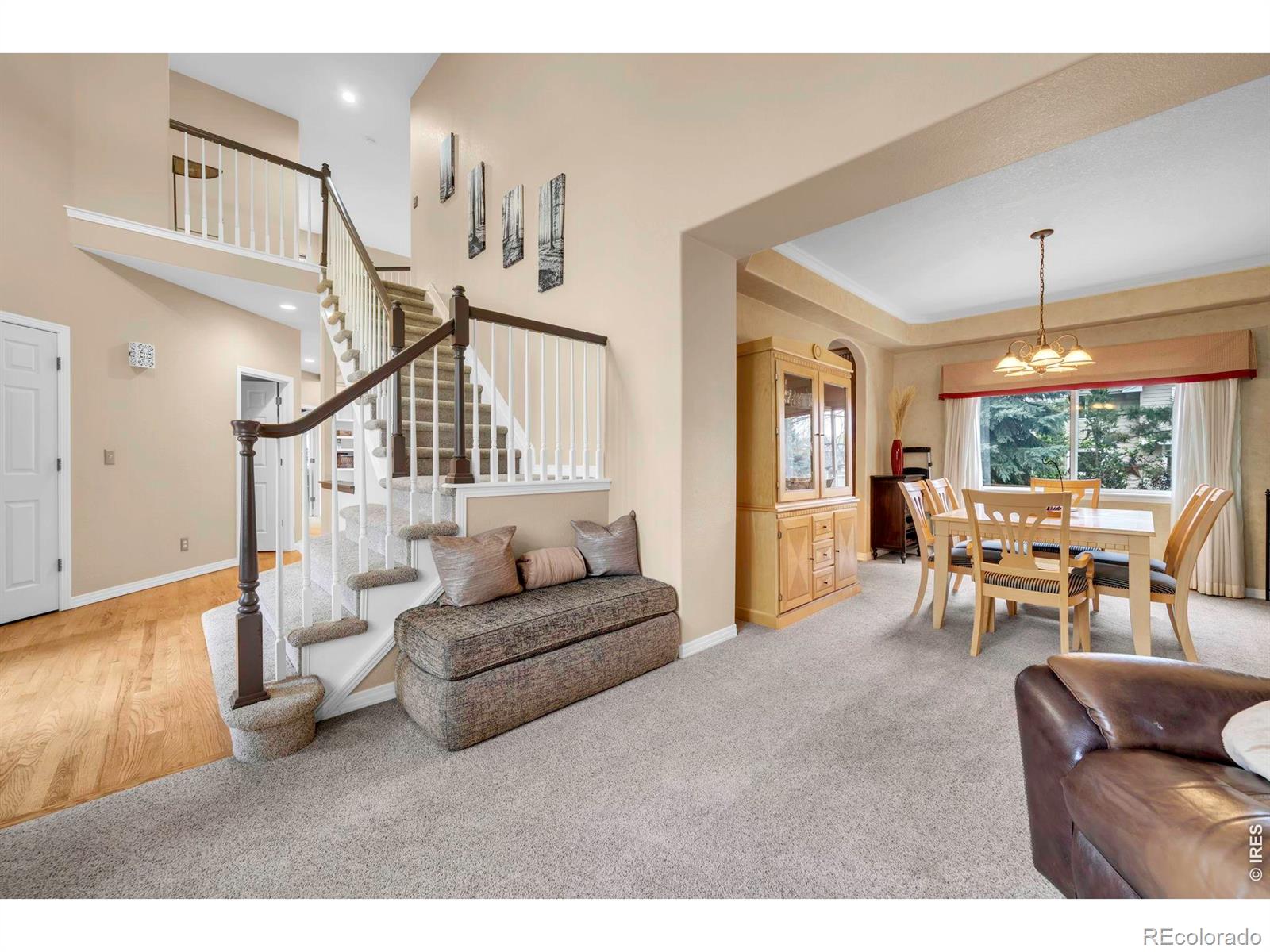 2233 Bluebird Drive Longmont CO 80504
