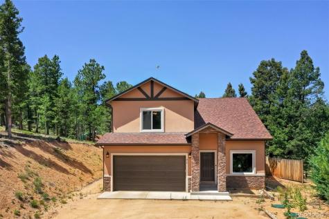 71 Mount Elbert Drive Florissant CO 80816