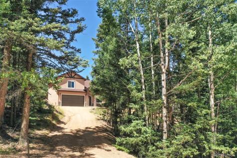 71 Mount Elbert Drive Florissant CO 80816