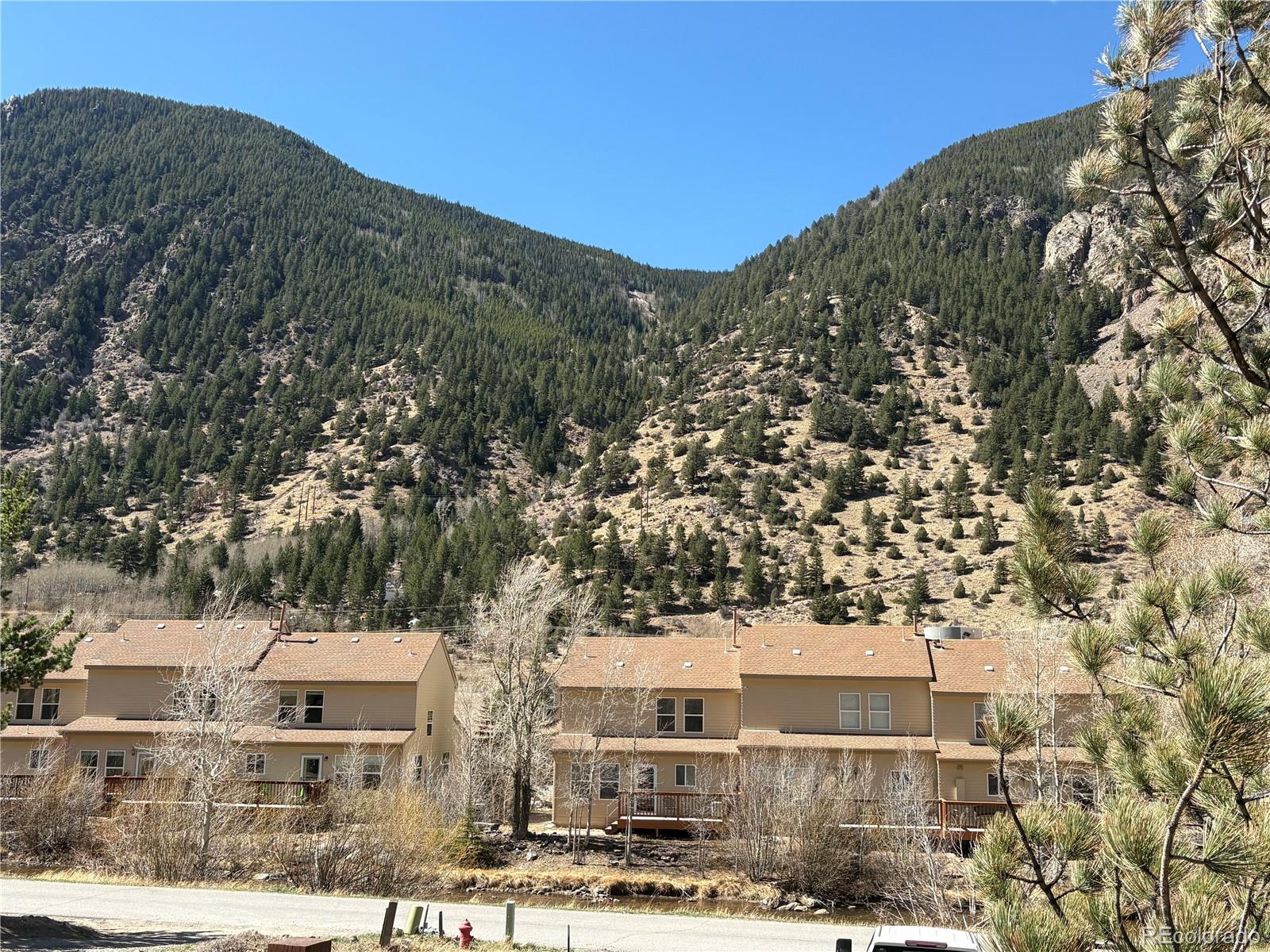 1772 Clear Creek Drive Georgetown CO 80444
