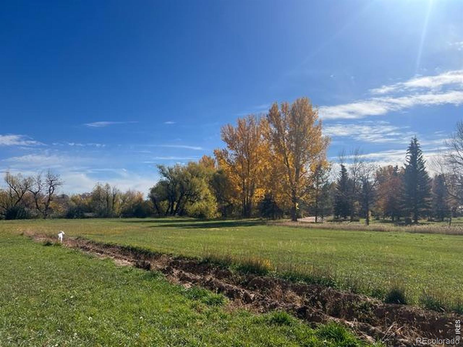 2916 N Shields Street Fort Collins CO 80524