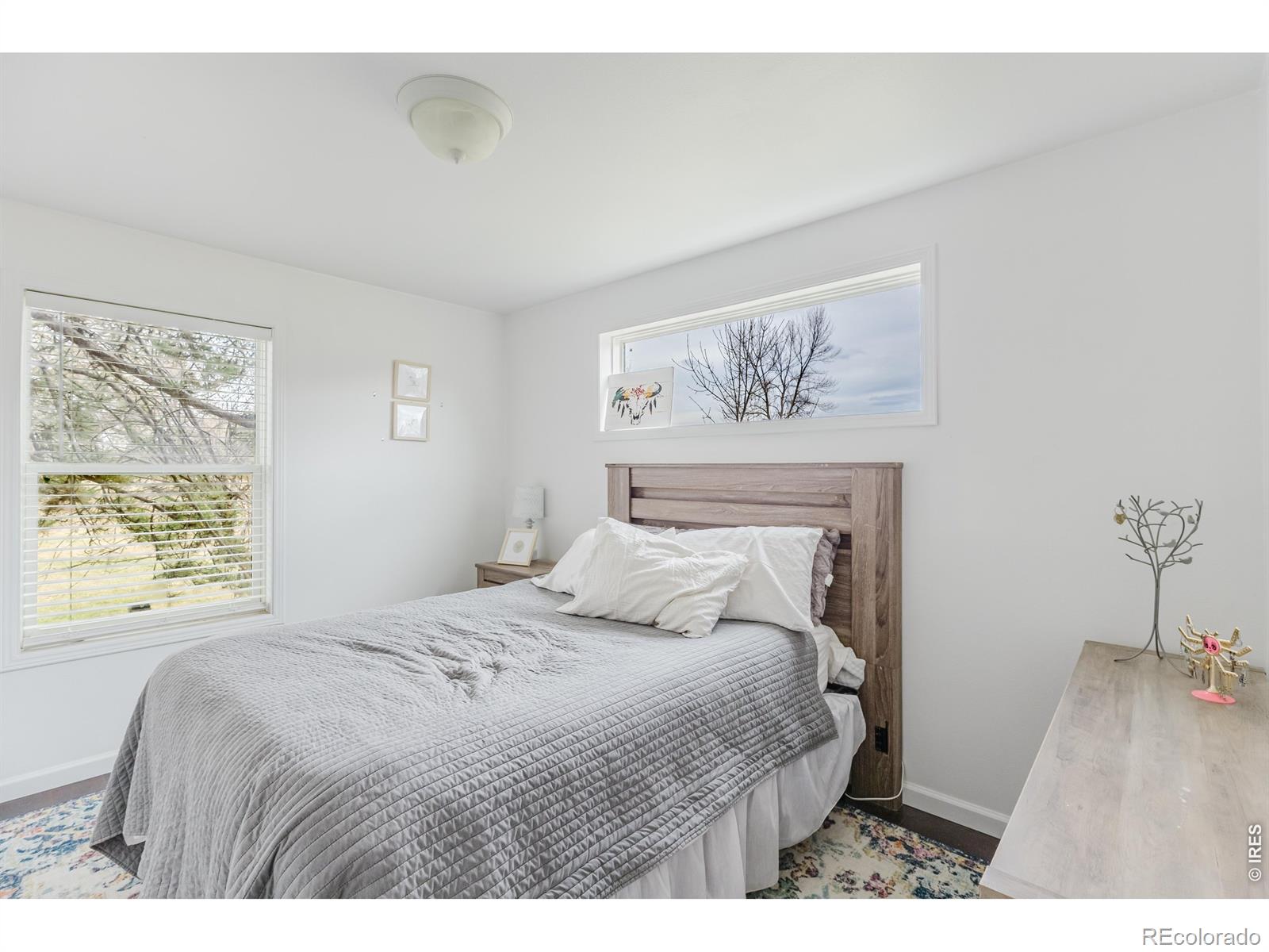 2916 N Shields Street Fort Collins CO 80524