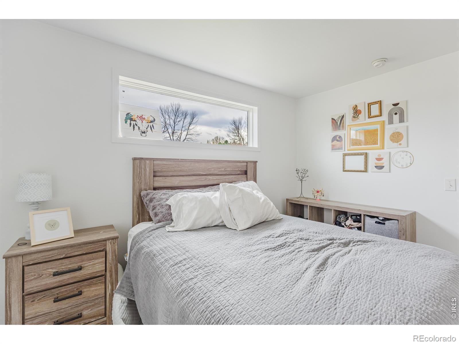 2916 N Shields Street Fort Collins CO 80524
