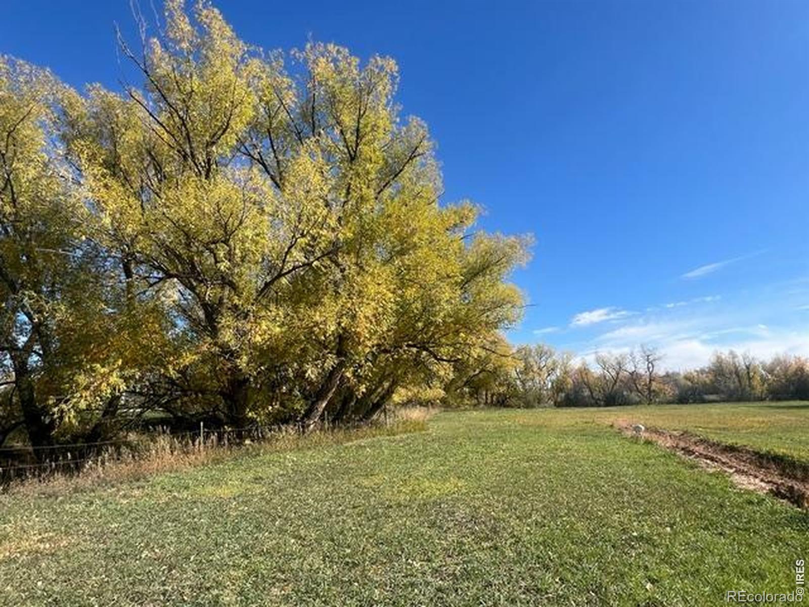 2916 N Shields Street Fort Collins CO 80524