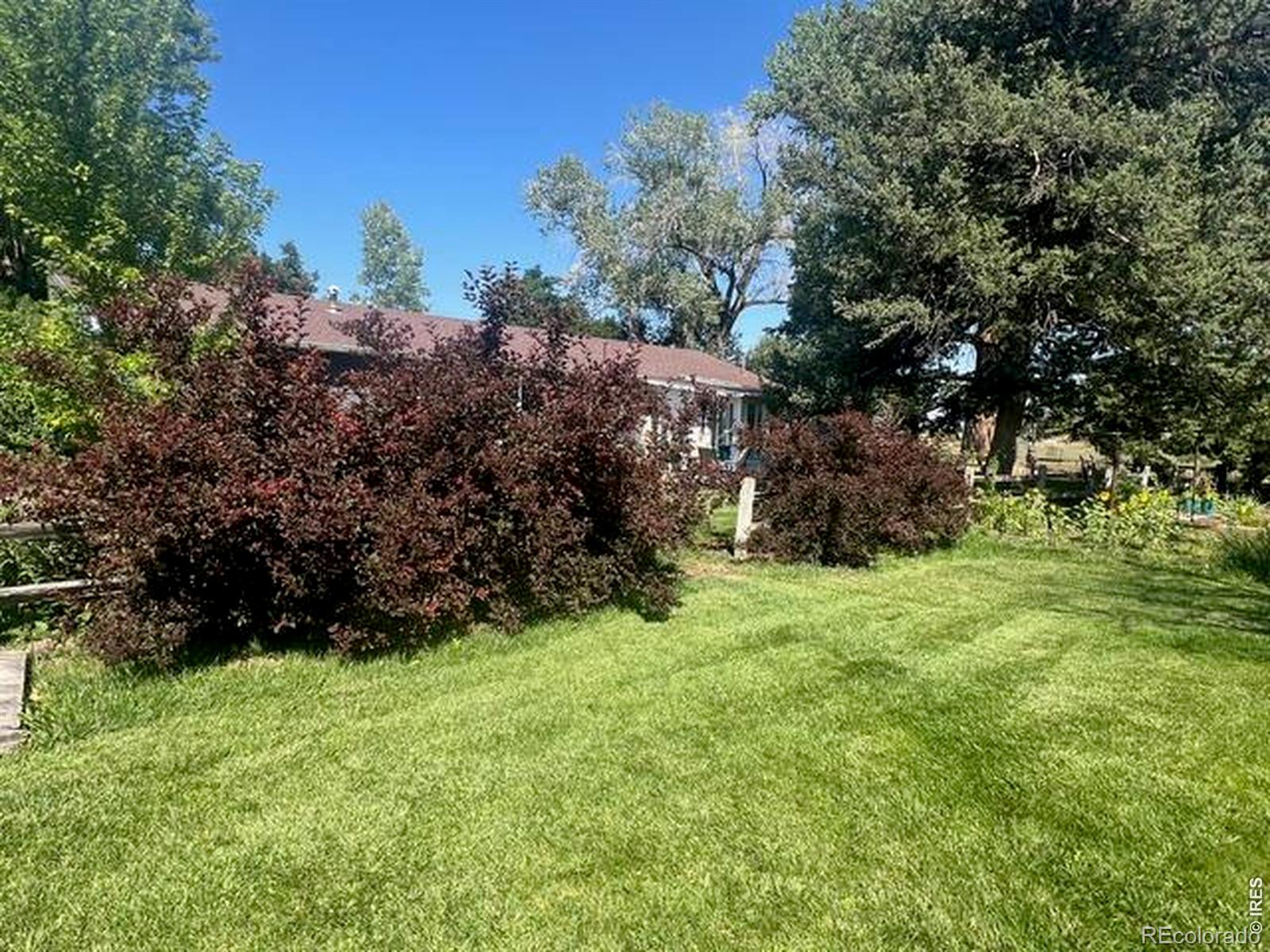 2916 N Shields Street Fort Collins CO 80524