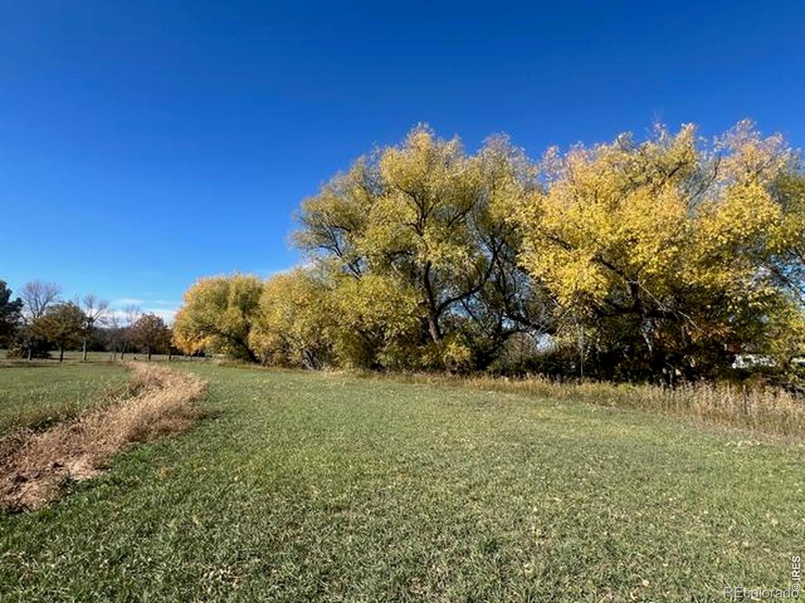2916 N Shields Street Fort Collins CO 80524