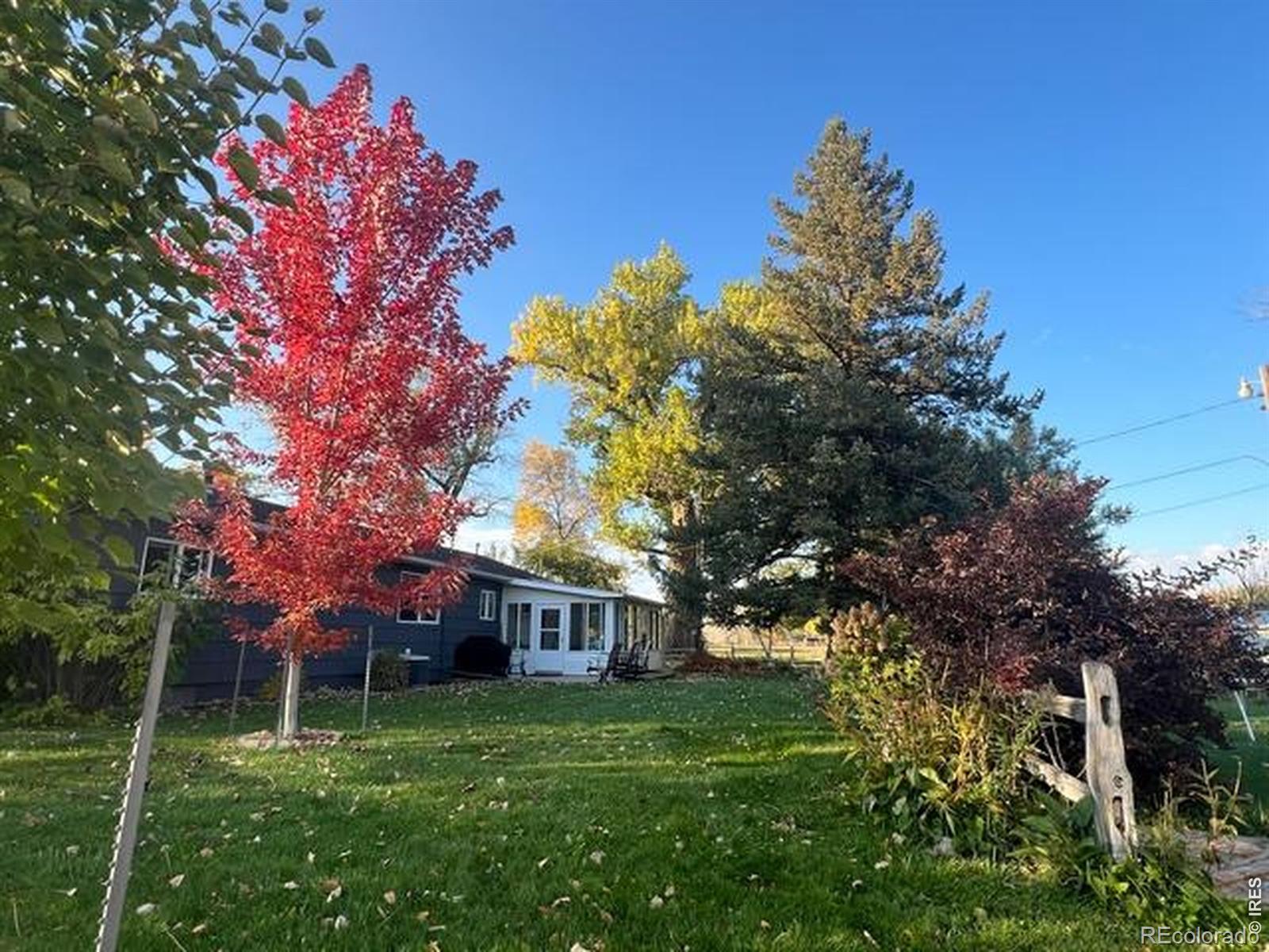 2916 N Shields Street Fort Collins CO 80524