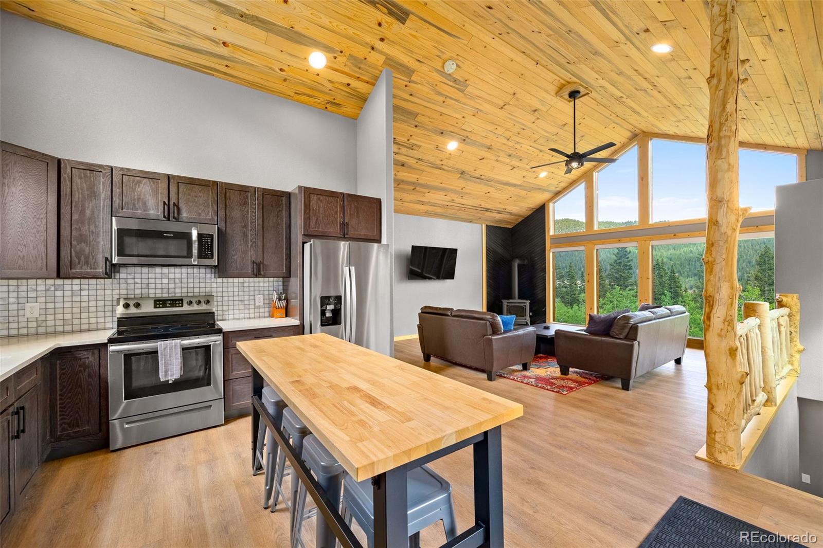 857 Quartzville Road Alma CO 80440