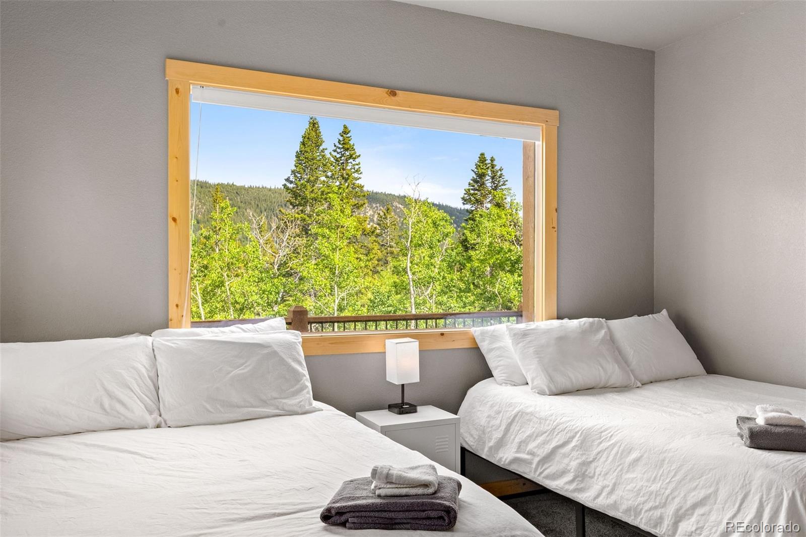 857 Quartzville Road Alma CO 80440