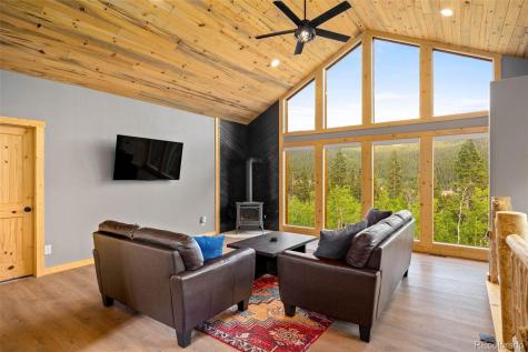 857 Quartzville Road Alma CO 80440