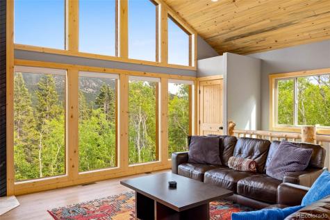 857 Quartzville Road Alma CO 80440