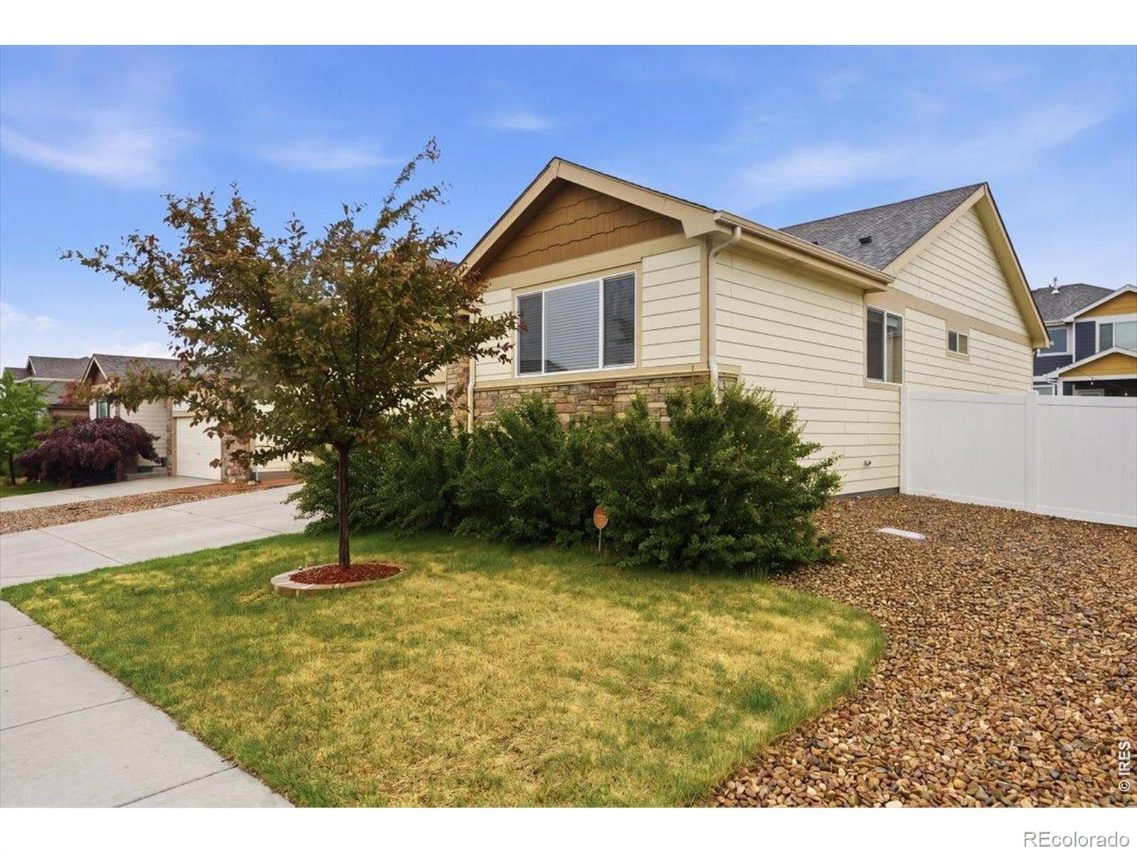 323 Torreys Drive Severance CO 80550
