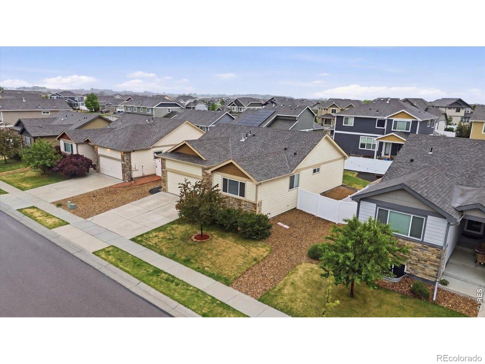 323 Torreys Drive Severance CO 80550