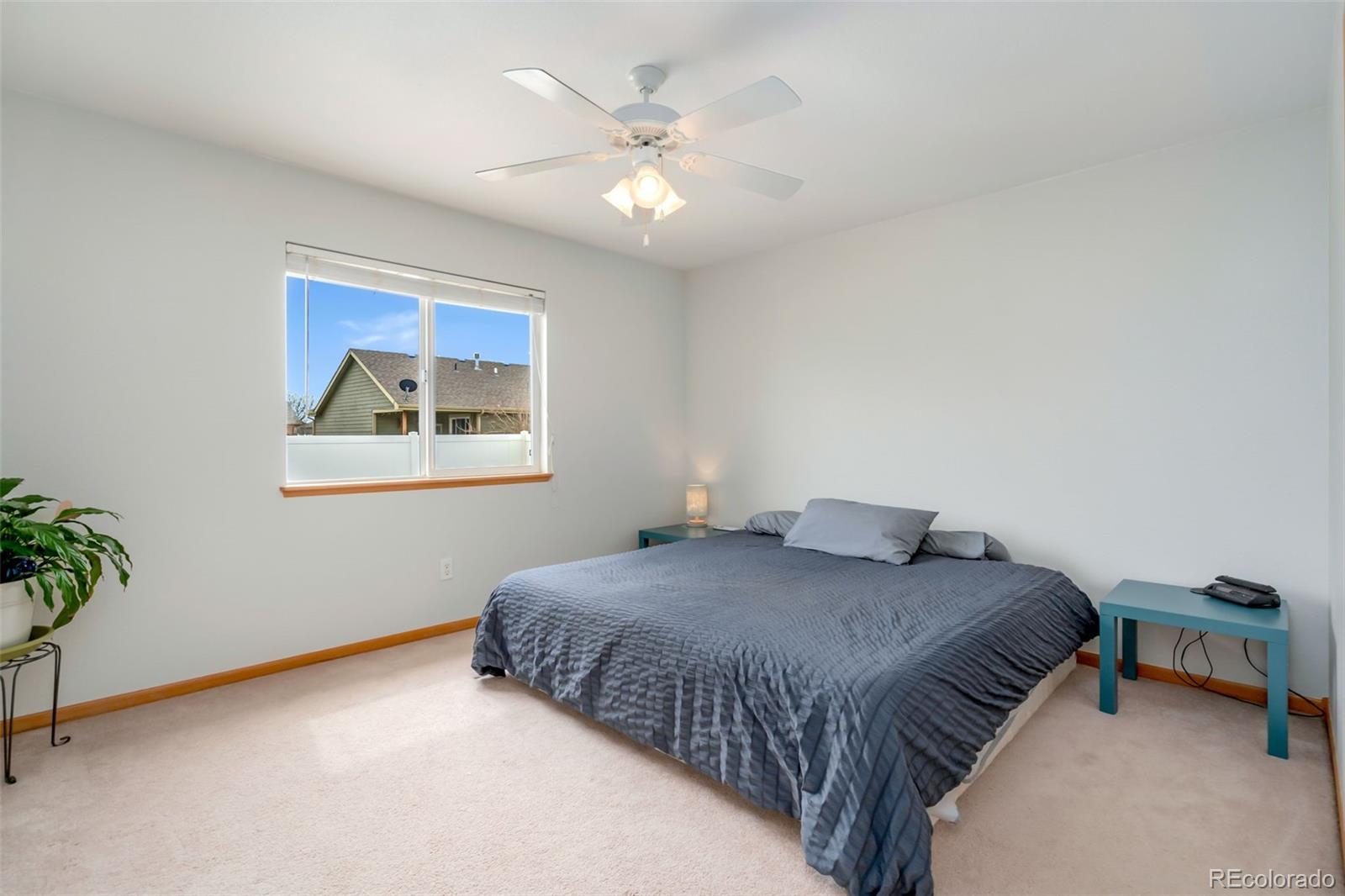 3779 Mount Meeker Street Wellington CO 80549