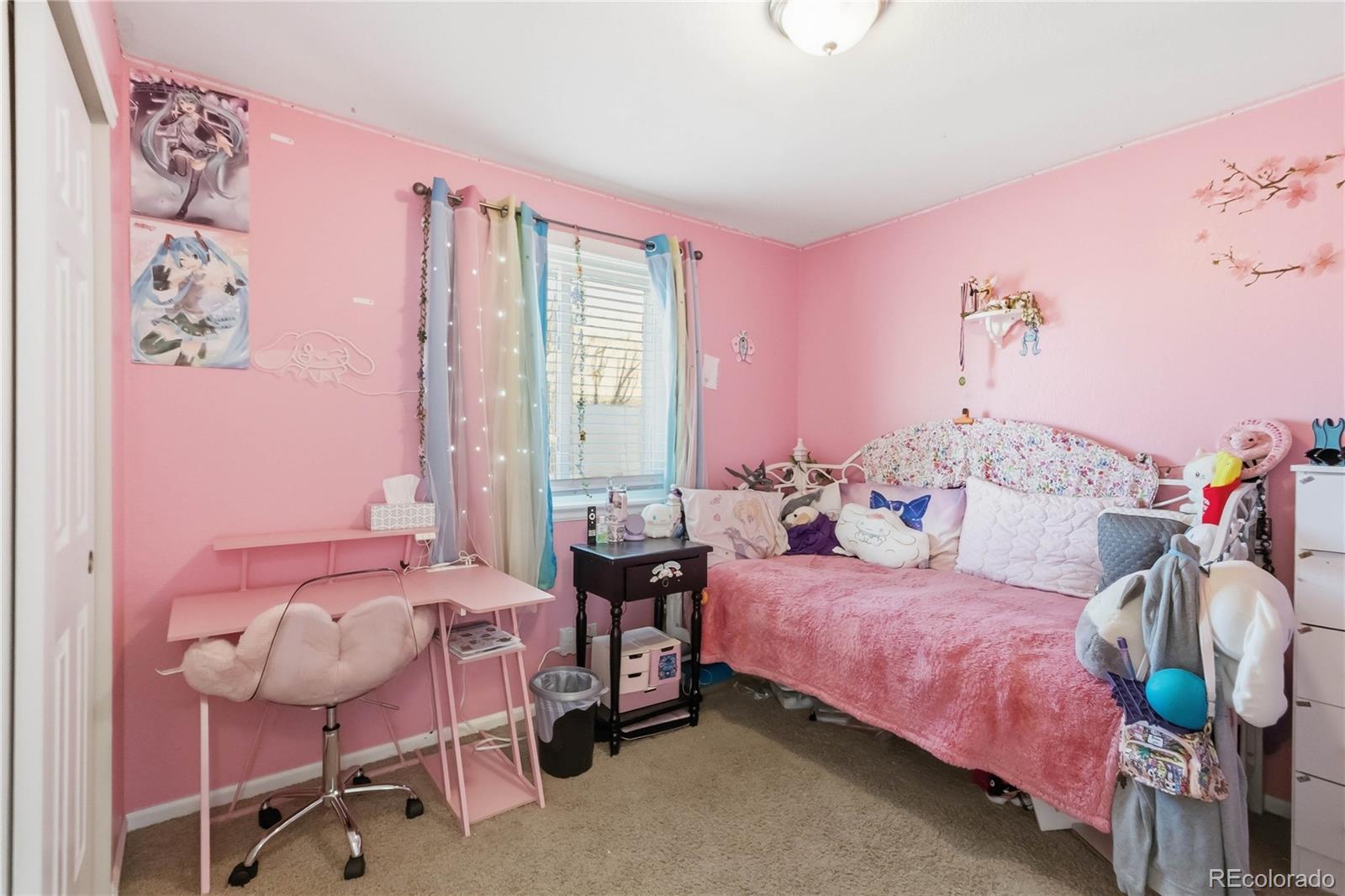 4999 E 119th Court Thornton CO 80233