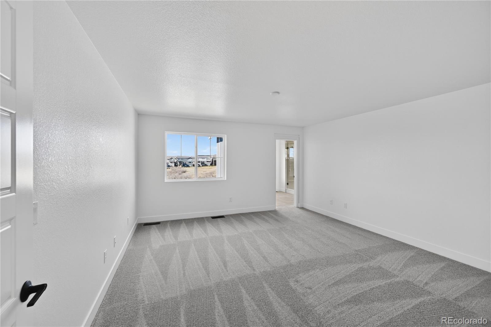 3296 Fervid Street Castle Rock CO 80108