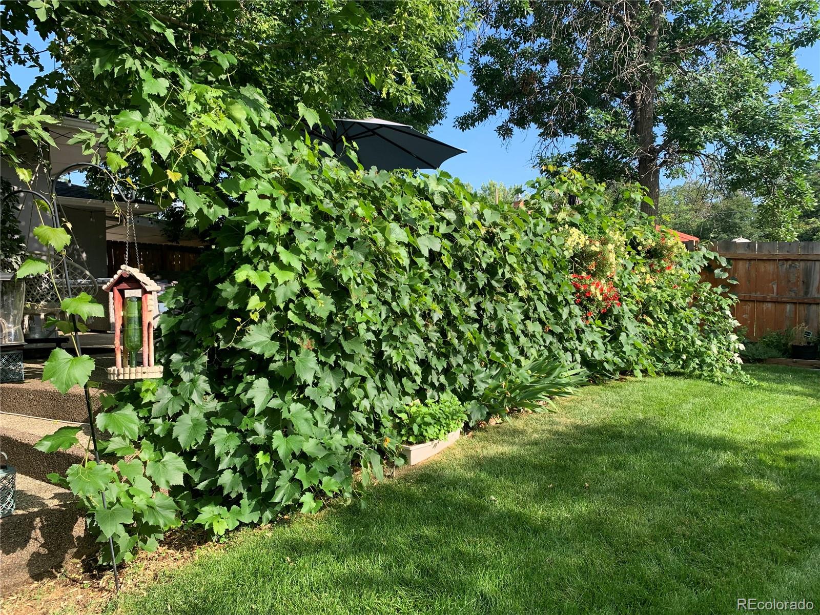 5875 S Elati Street Littleton CO 80120