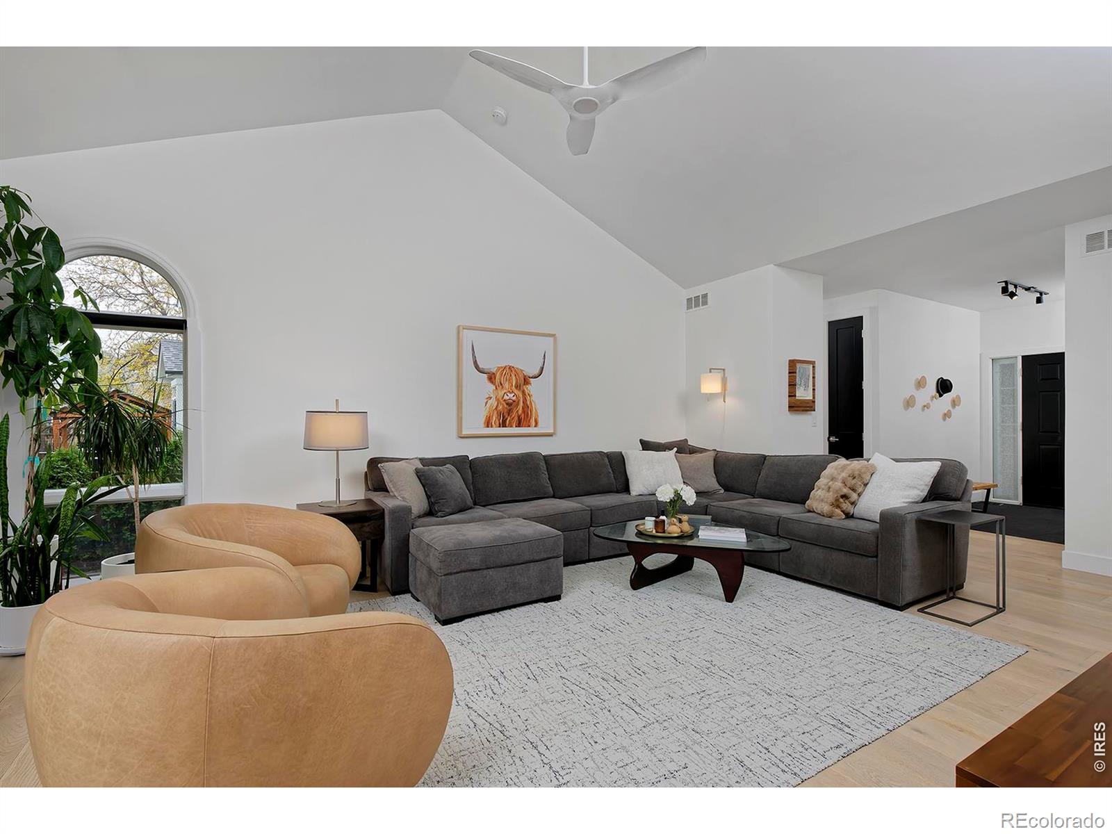 2238 Bluebird Drive Longmont CO 80504