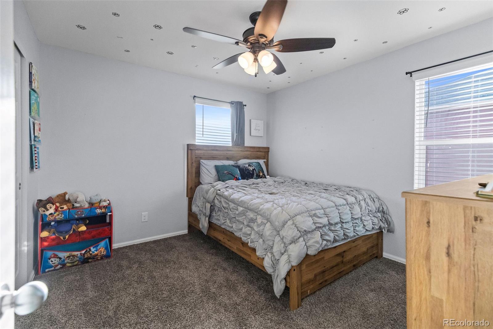 5972 High Timber Circle Castle Rock CO 80104