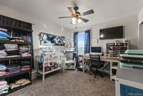5972 High Timber Circle Castle Rock CO 80104