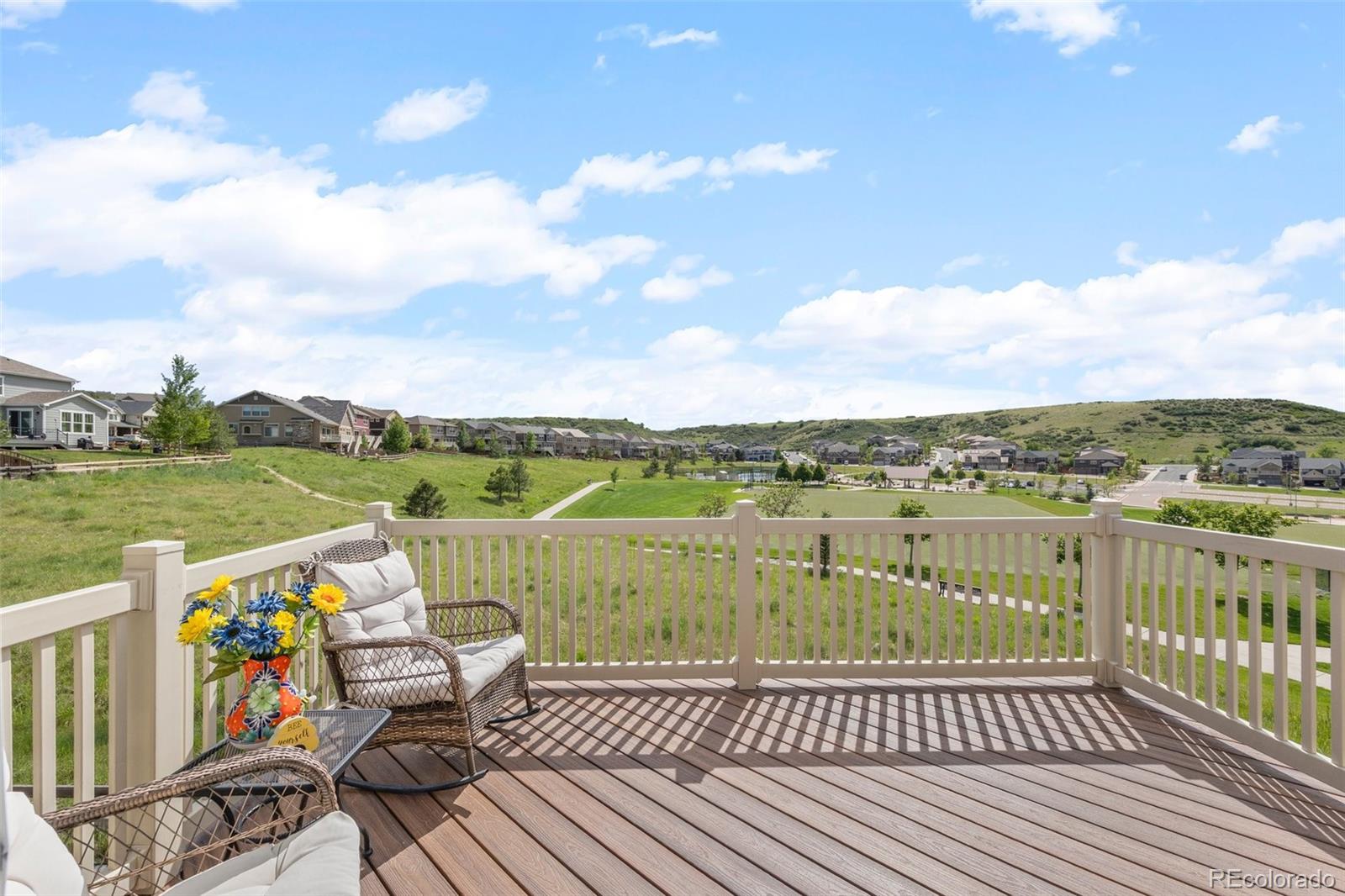 3871 Starry Night Loop Castle Rock CO 80109