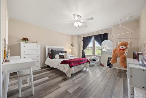 3871 Starry Night Loop Castle Rock CO 80109