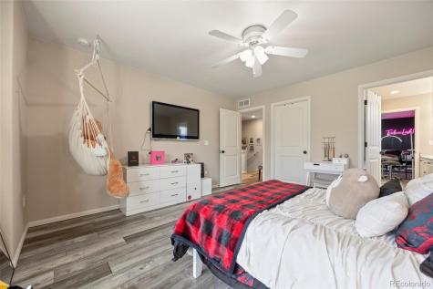 3871 Starry Night Loop Castle Rock CO 80109