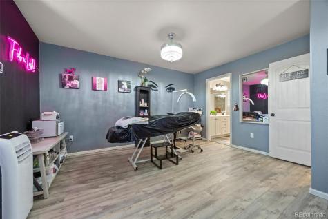 3871 Starry Night Loop Castle Rock CO 80109