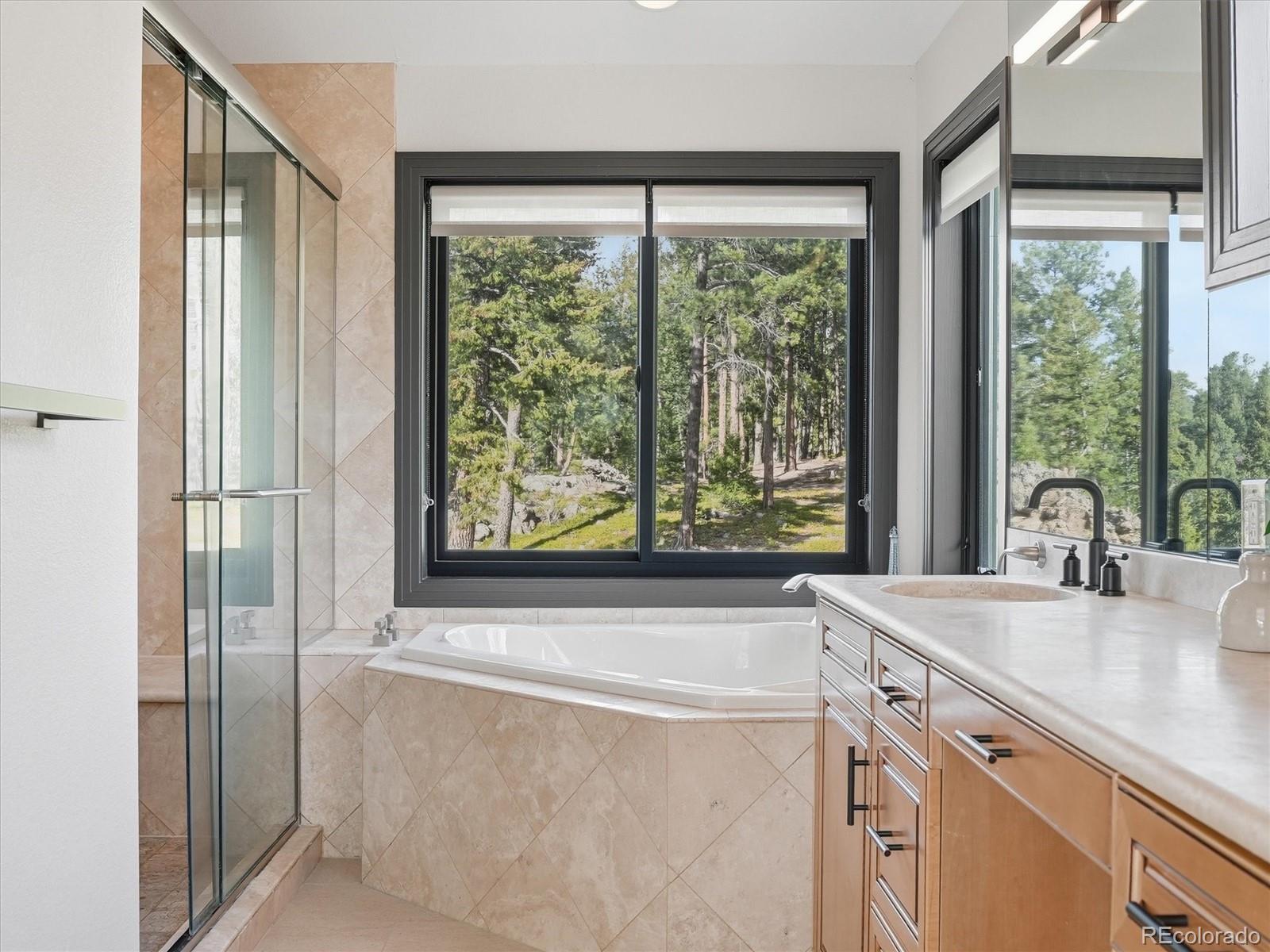 7260 S Frog Hollow Lane Evergreen CO 80439