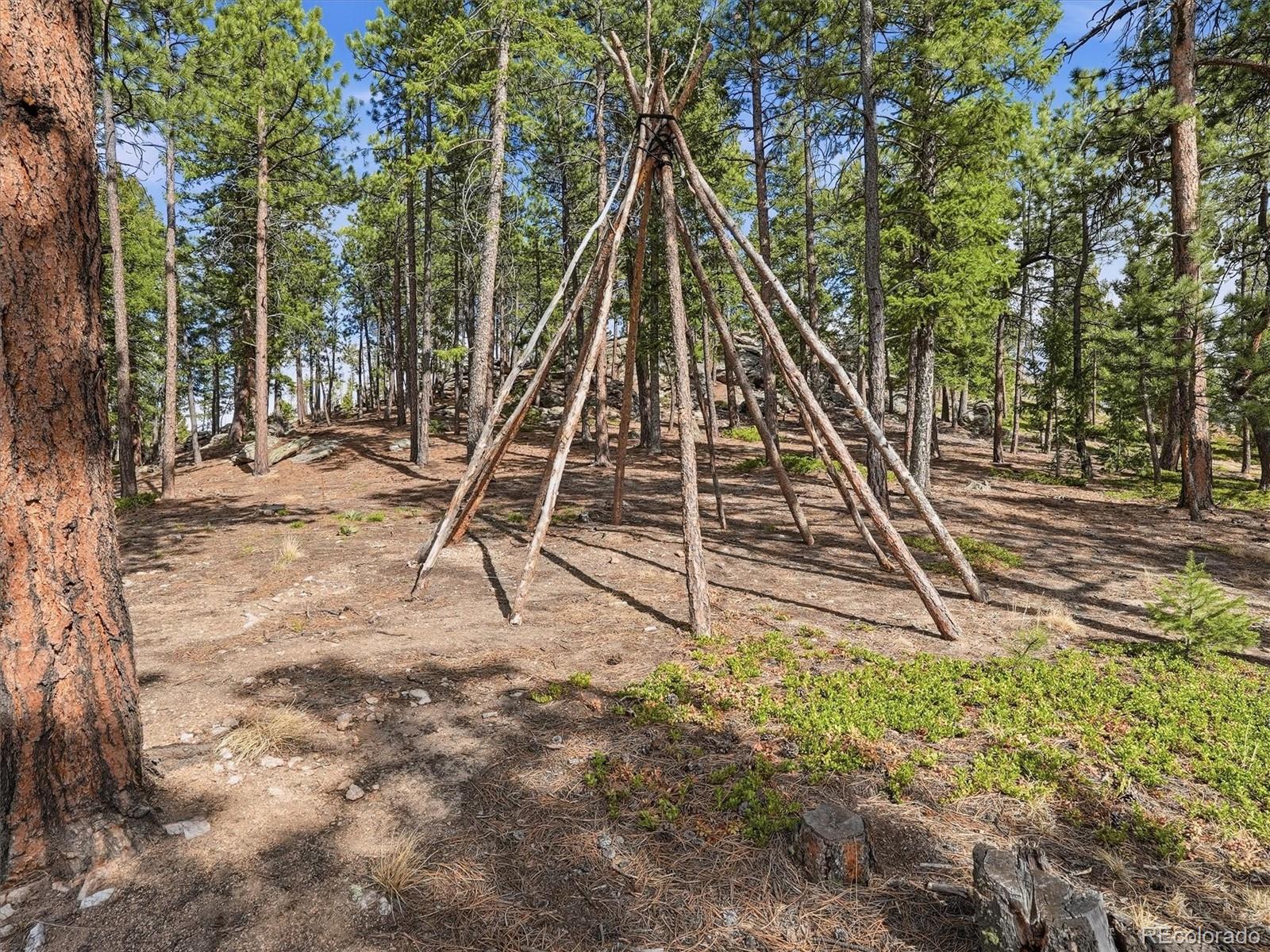 7260 S Frog Hollow Lane Evergreen CO 80439