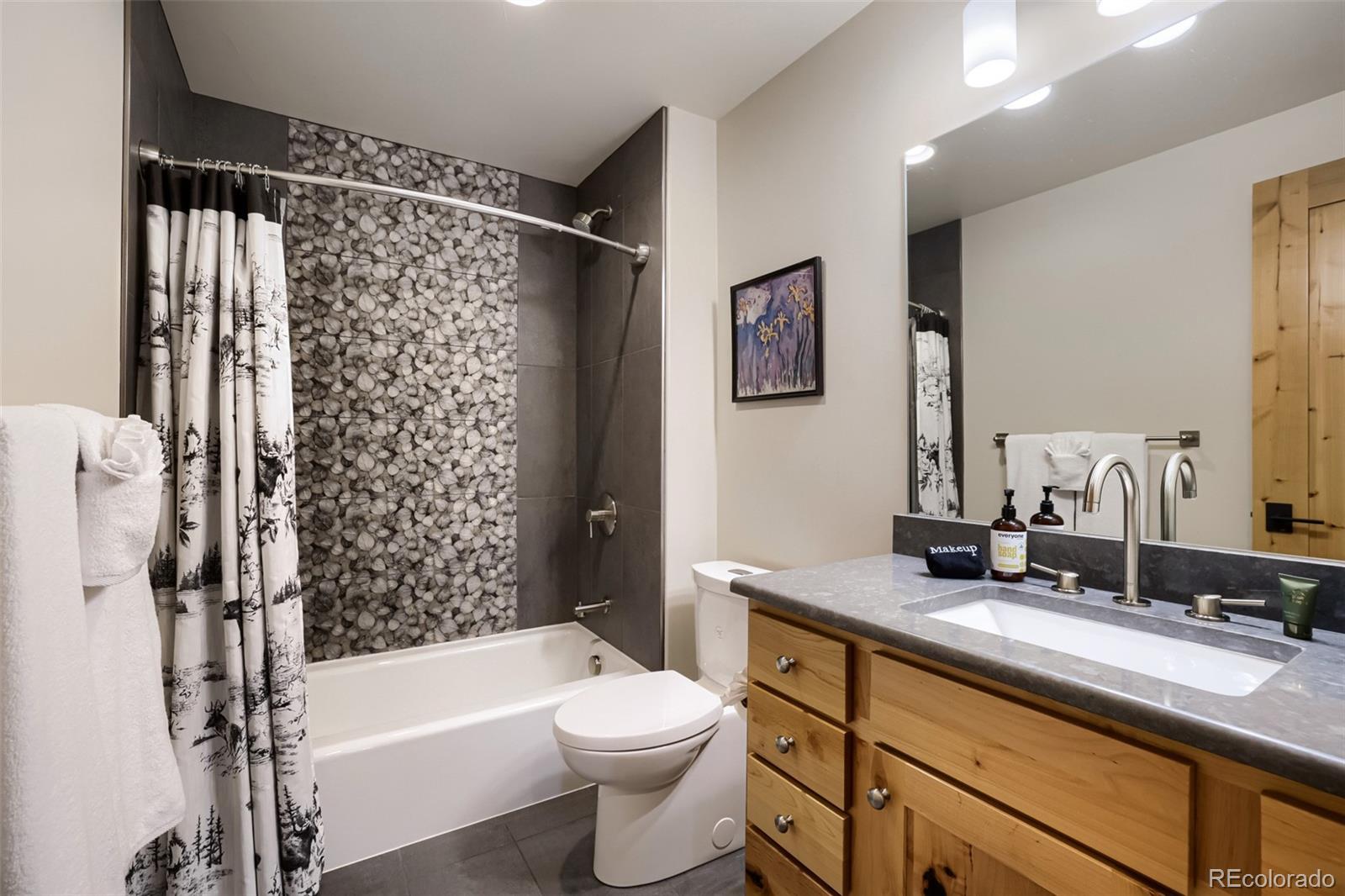 836 Maryland Creek Road Silverthorne CO 80498