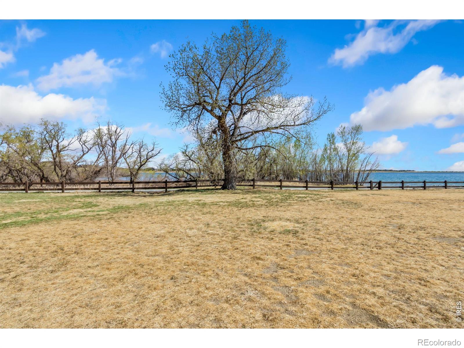 6335 Wildview Lane Timnath CO 80547