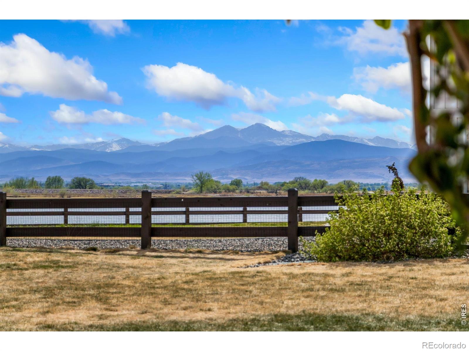 6335 Wildview Lane Timnath CO 80547