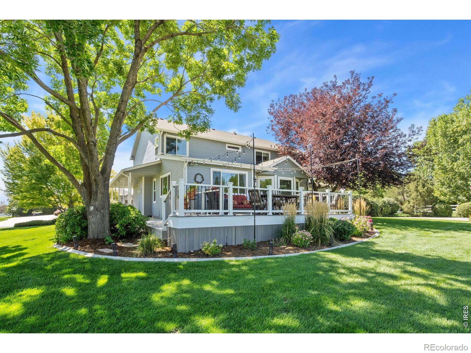 6345 Lesser Drive Greeley CO 80634