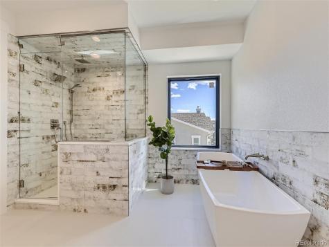 314 Castlemaine Court Castle Rock CO 80104