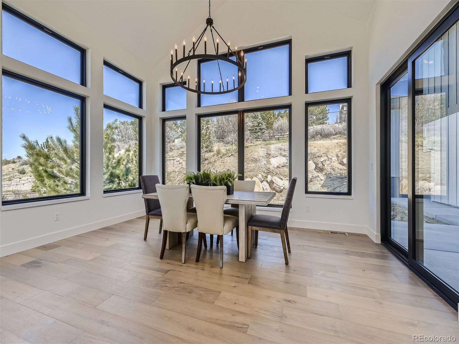 314 Castlemaine Court Castle Rock CO 80104