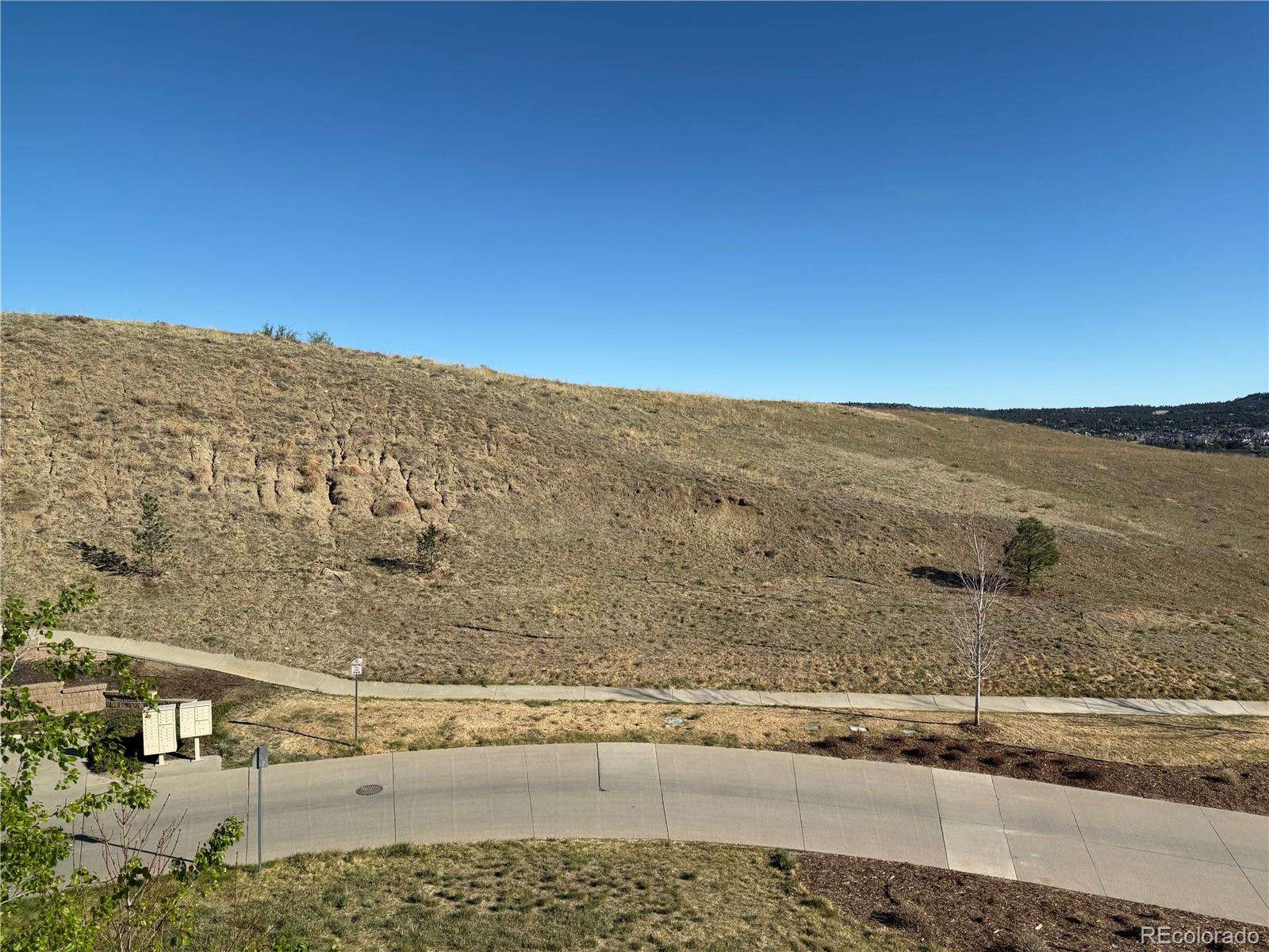 3768 Sanguine Circle Castle Rock CO 80109