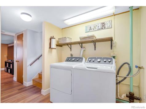 519 Locust Street Windsor CO 80550