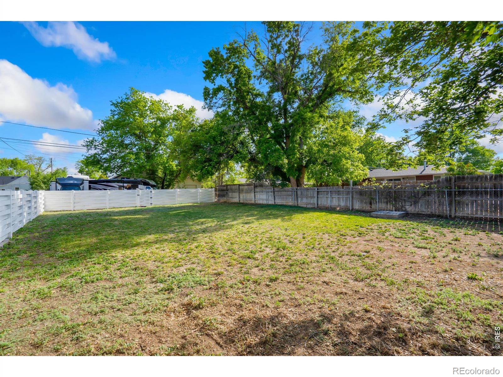 519 Locust Street Windsor CO 80550