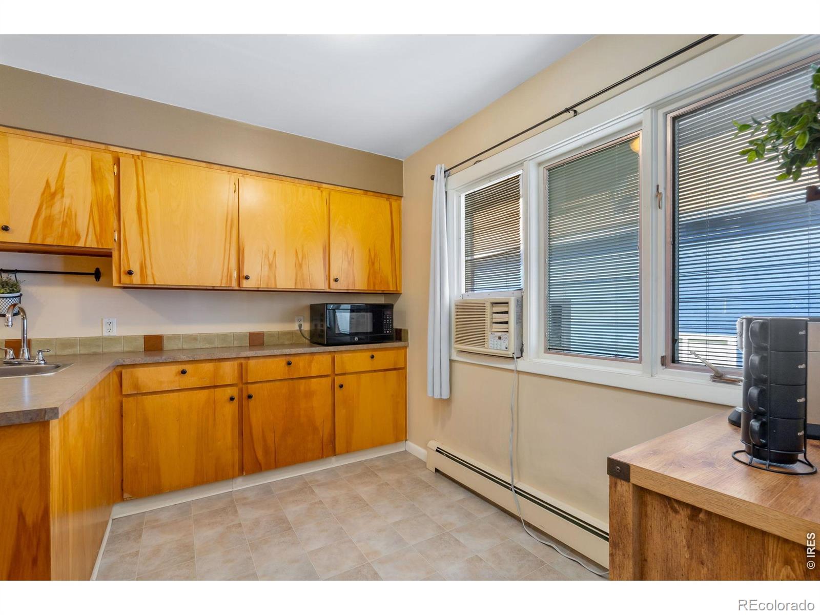 519 Locust Street Windsor CO 80550