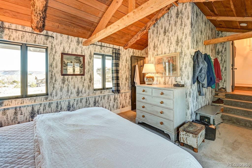 27764 County Road 340 Buena Vista CO 81211