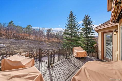 514 Coyote Willow Drive Colorado Springs CO 80921