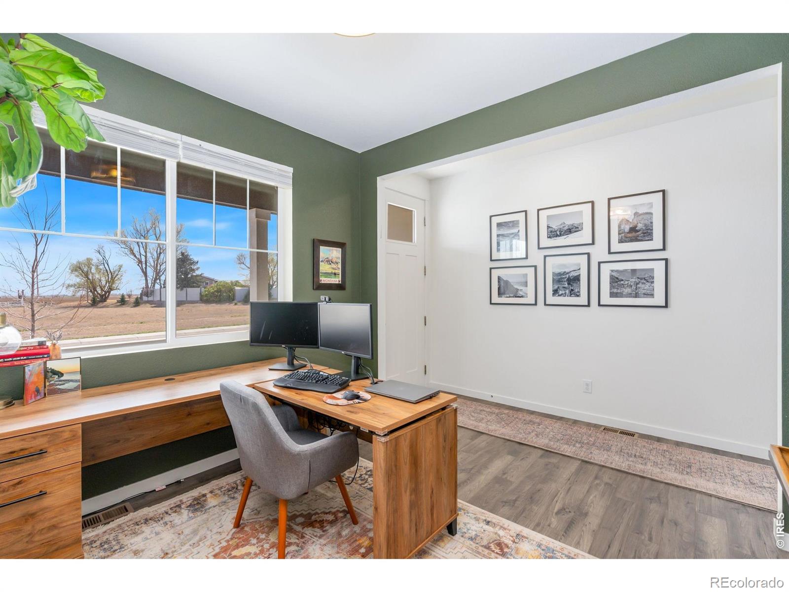 3746 Foxbrush Street Wellington CO 80549