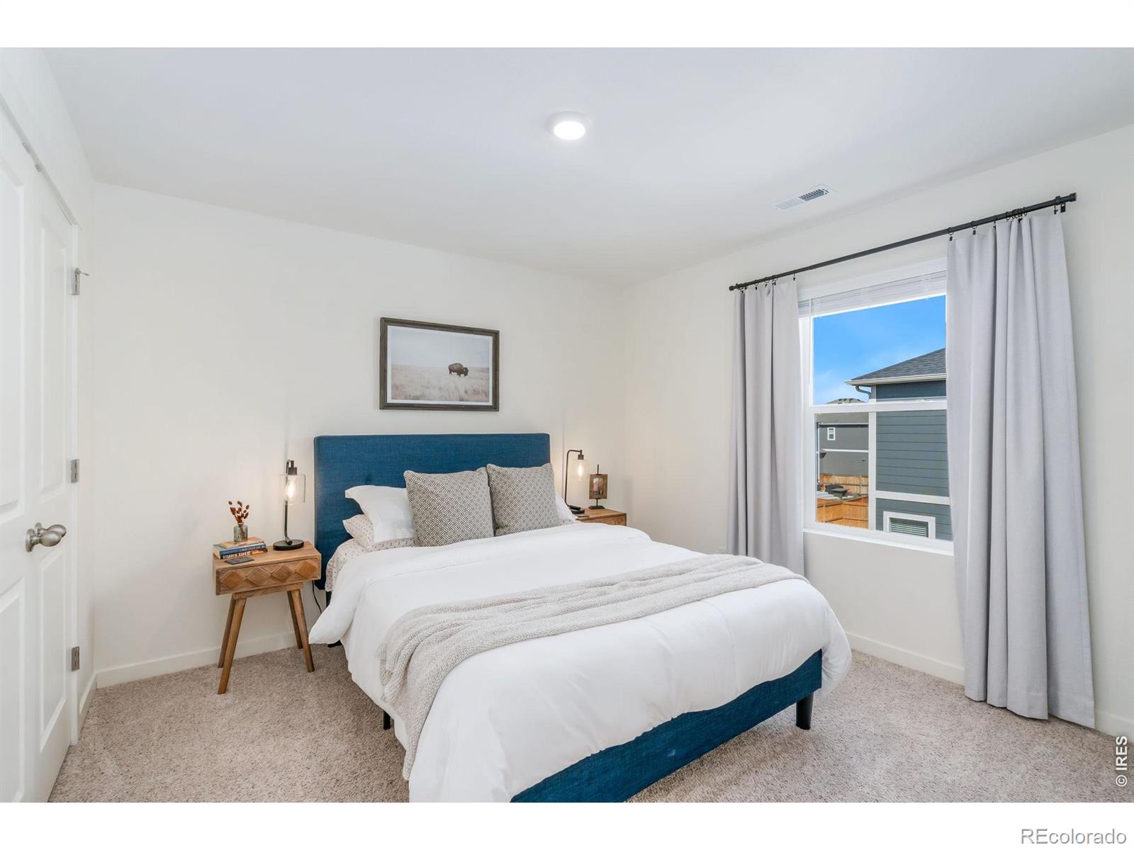 3746 Foxbrush Street Wellington CO 80549