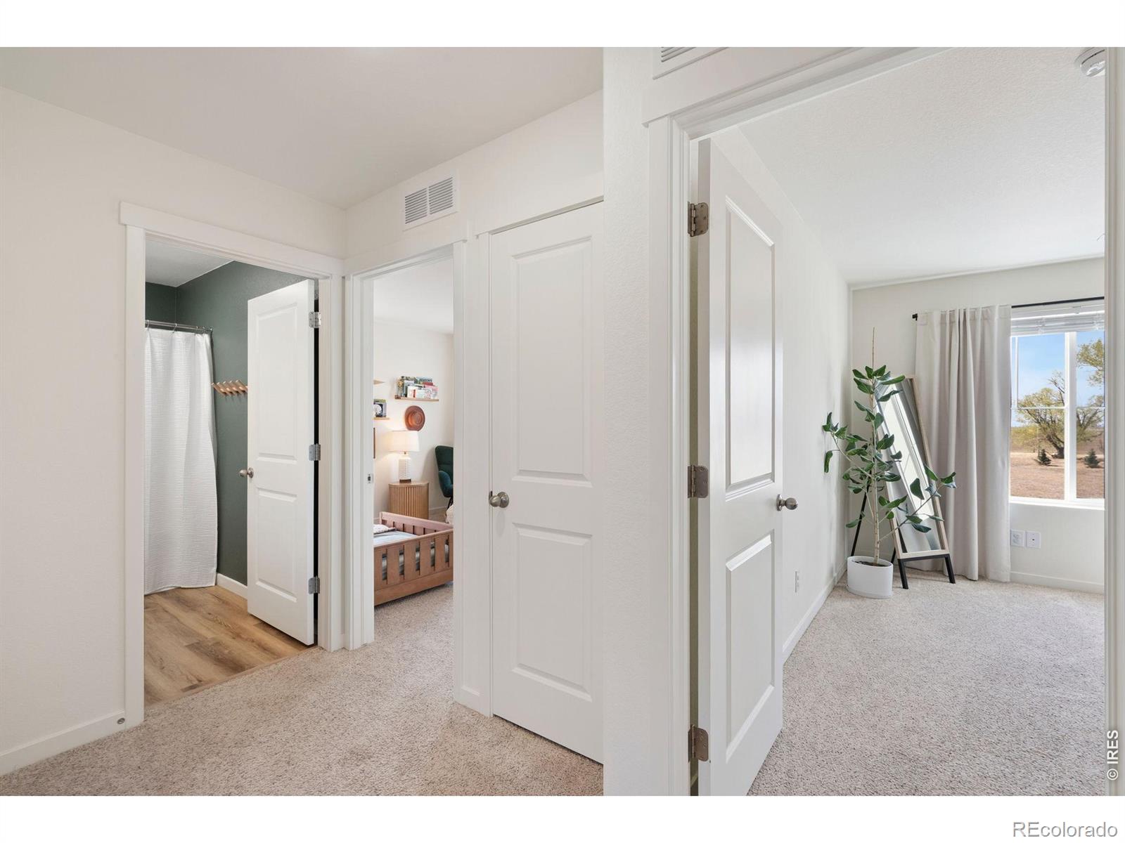 3746 Foxbrush Street Wellington CO 80549