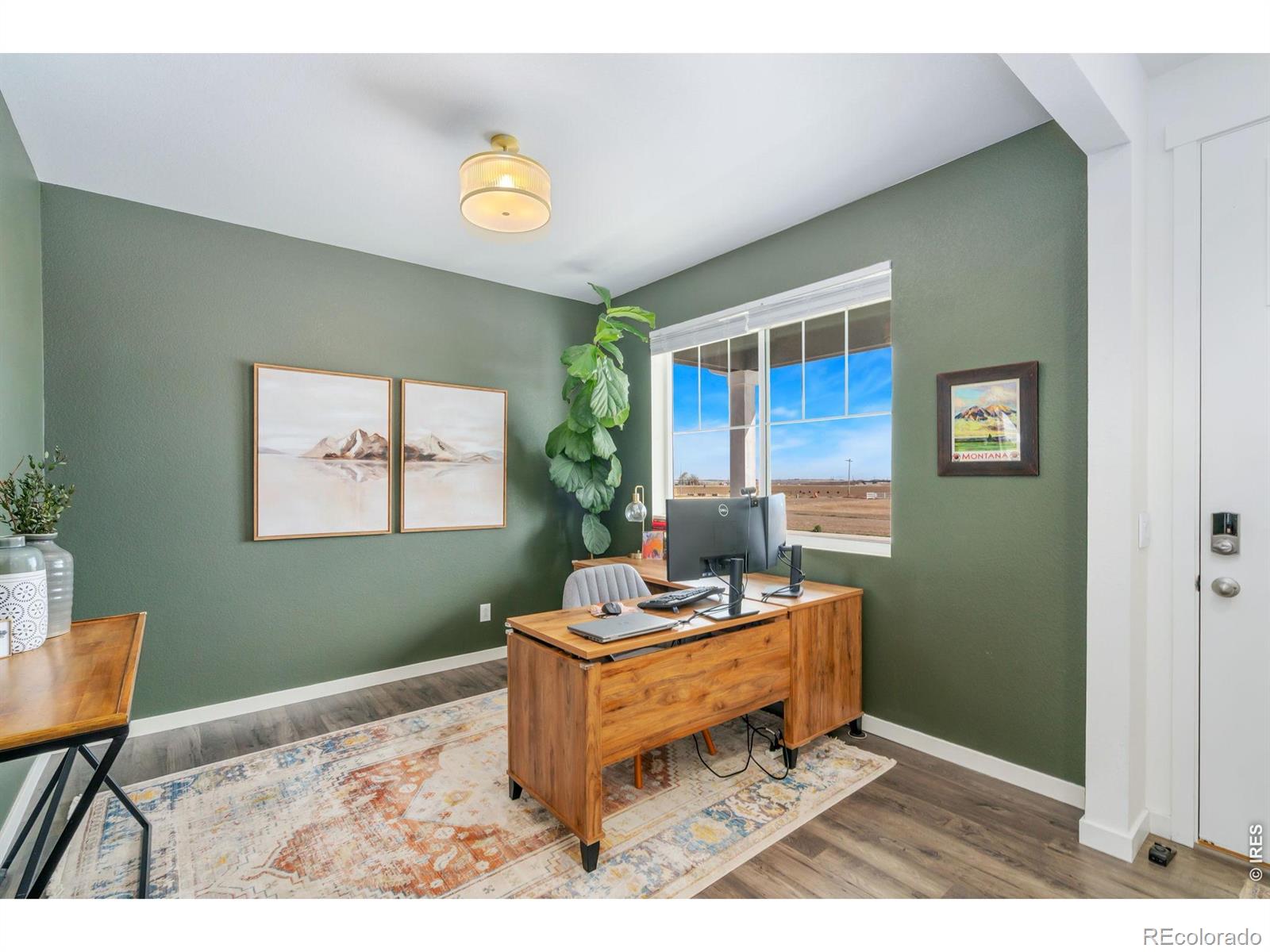 3746 Foxbrush Street Wellington CO 80549
