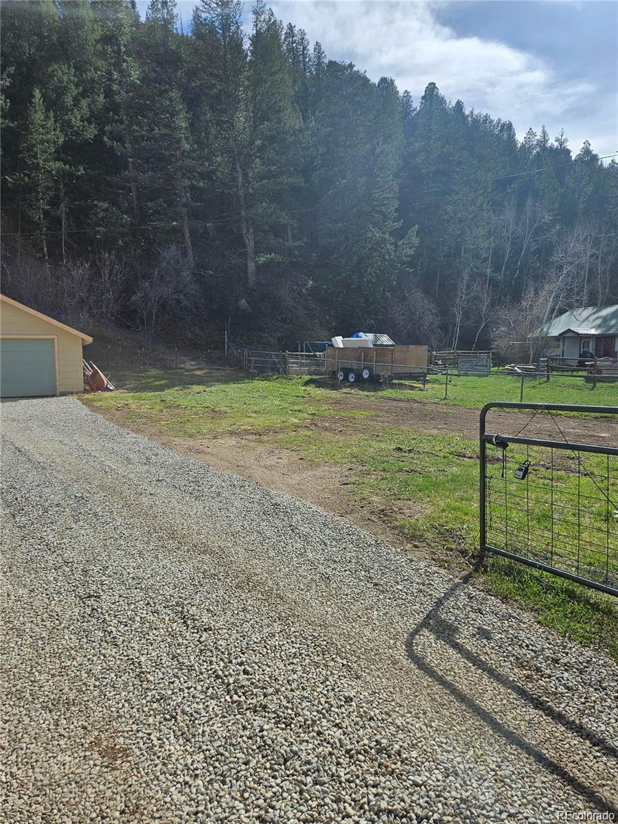 124 River Drive Bailey CO 80421